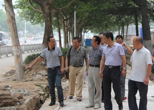 总公司领导带领相关部门现场勘察经二路公交站点